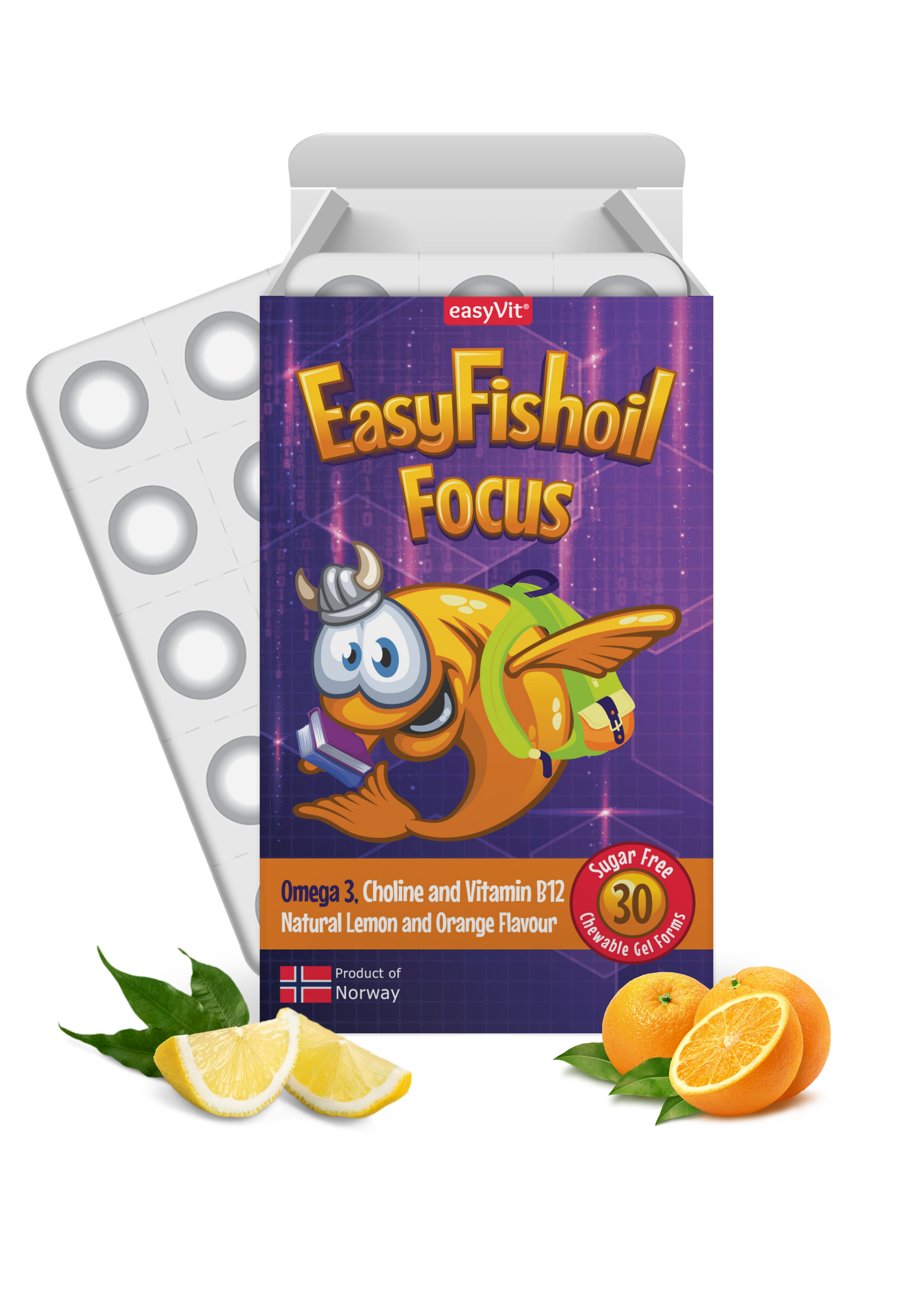 EasyFishoil Focus Omega-3 + Choline, Vitamins B6 and B12, Folic Acid For Children