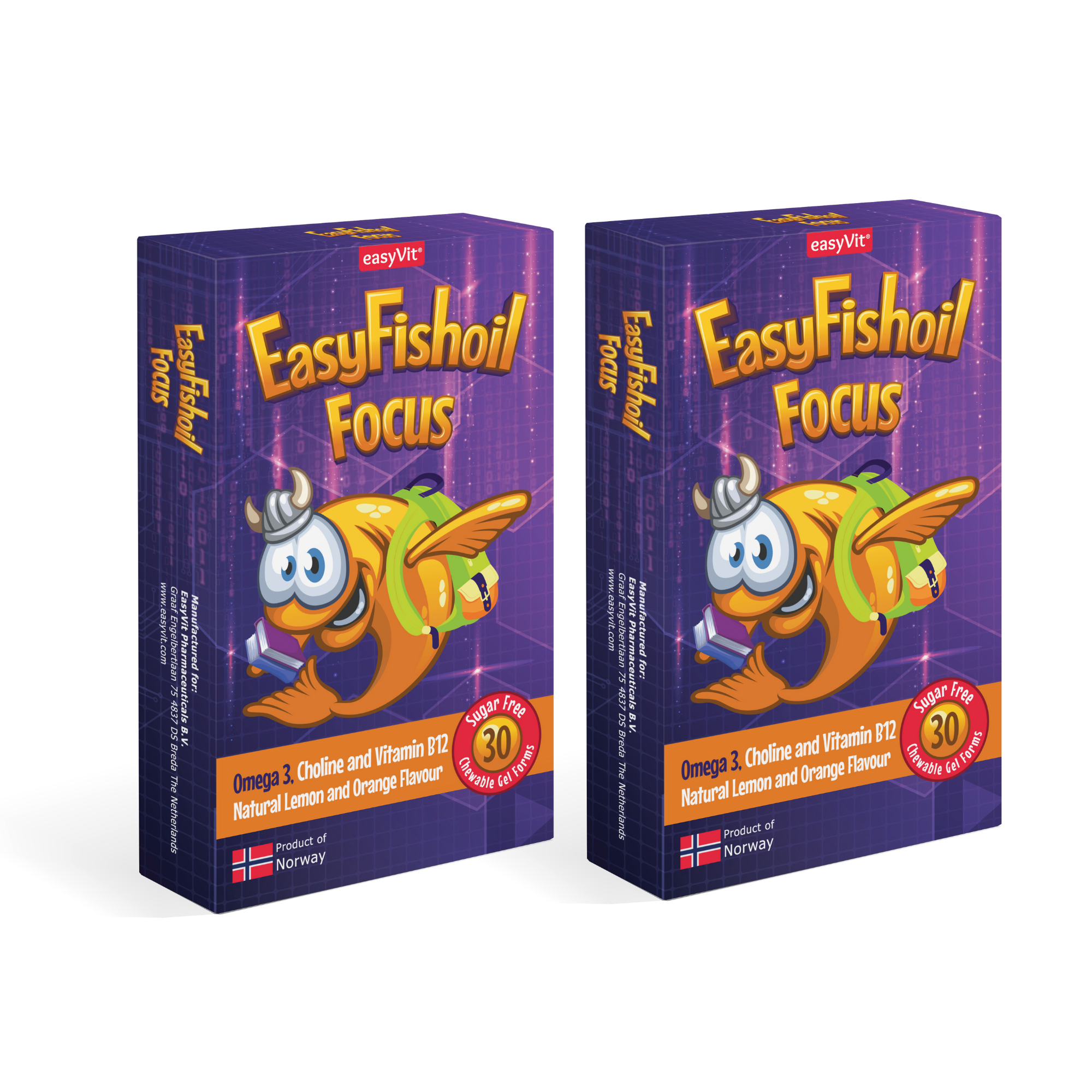 Omega 3 + Choline Vitamins B6 and B12, Folic Acid For Children EasyFishoil Focus 2 Pieces