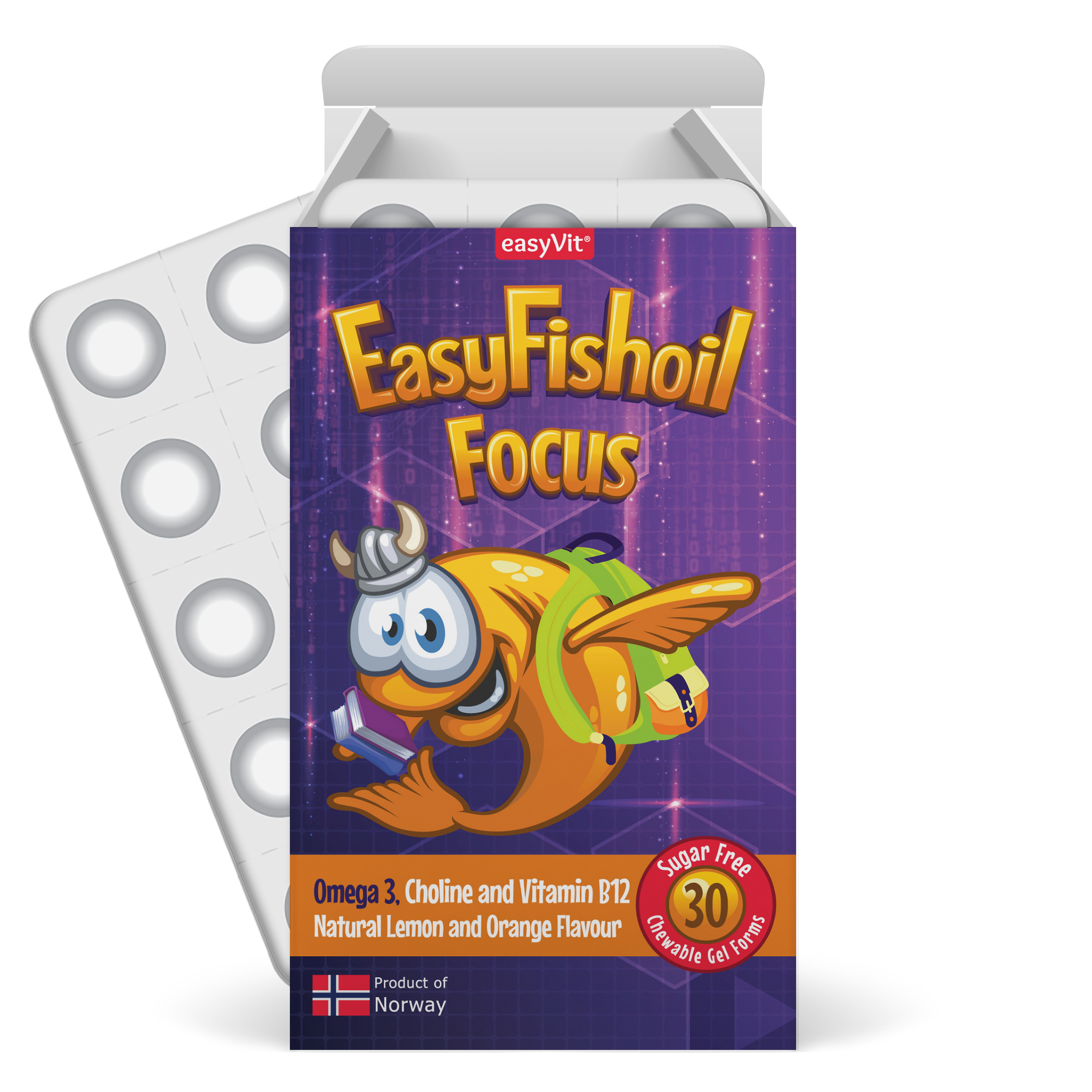 EasyFishoil Focus Omega-3 + Choline, Vitamins B6 and B12, Folic Acid For Children