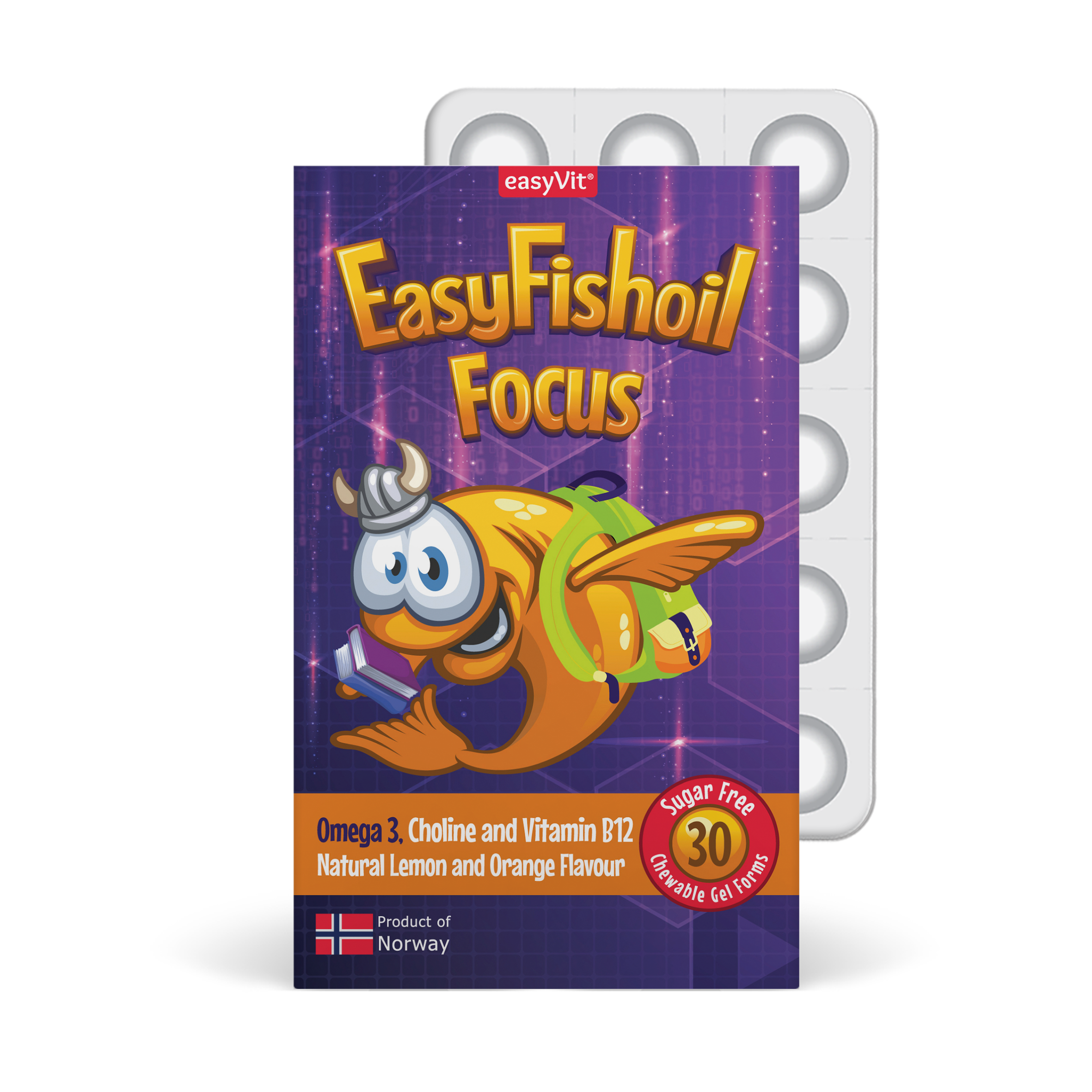 EasyFishoil Focus Omega-3 + Choline, Vitamins B6 and B12, Folic Acid For Children