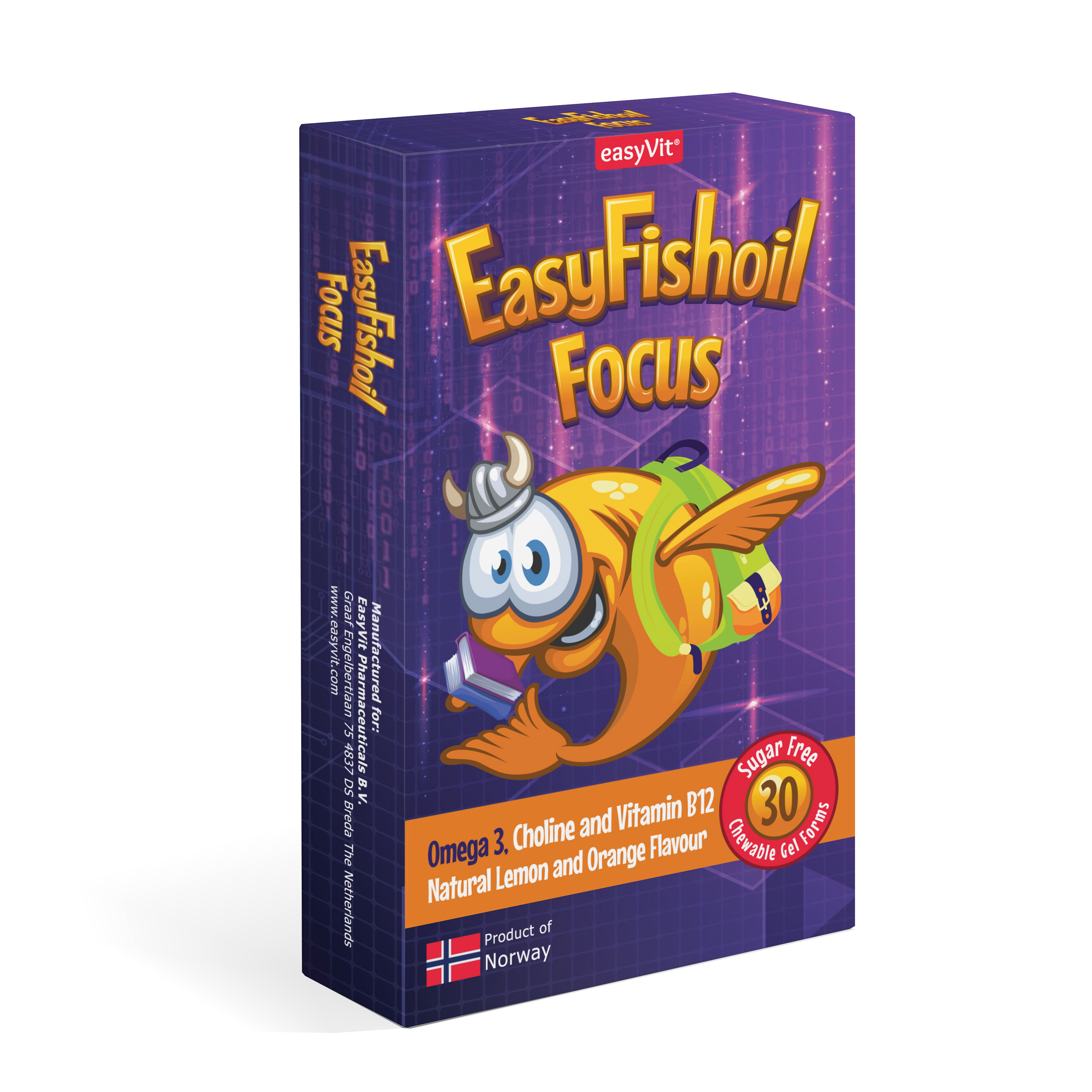 EasyFishoil Focus Omega-3 + Choline, Vitamins B6 and B12, Folic Acid For Children