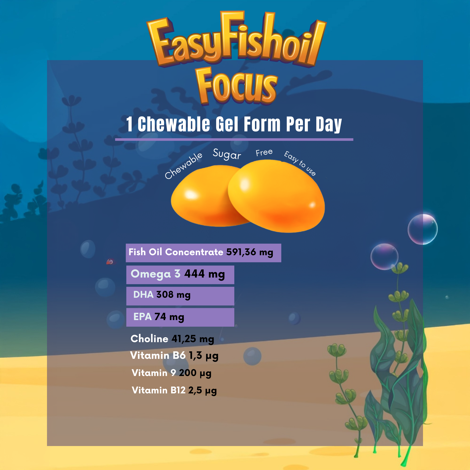 Omega 3 + Choline Vitamins B6 and B12, Folic Acid For Children EasyFishoil Focus