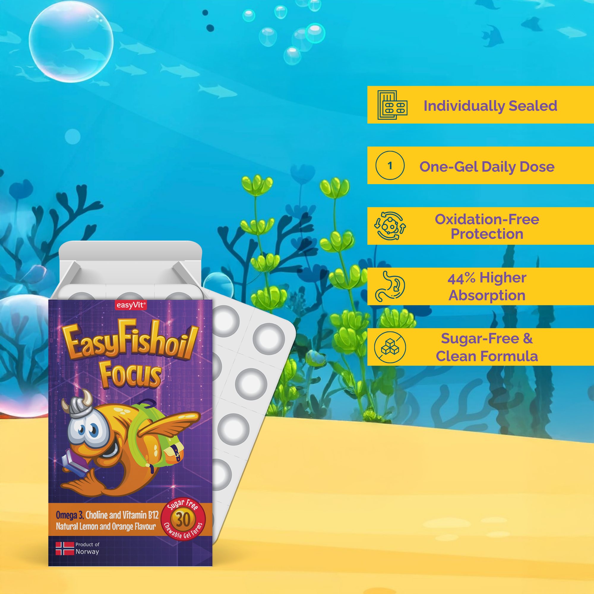 Omega 3 + Choline Vitamins B6 and B12, Folic Acid For Children EasyFishoil Focus